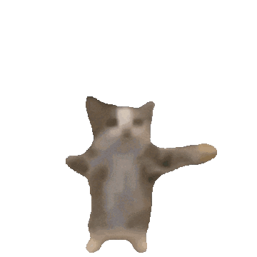 Cat GIF