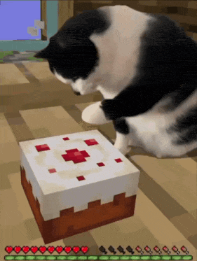 Cat Cake GIF