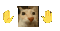 Cat Car Sticker