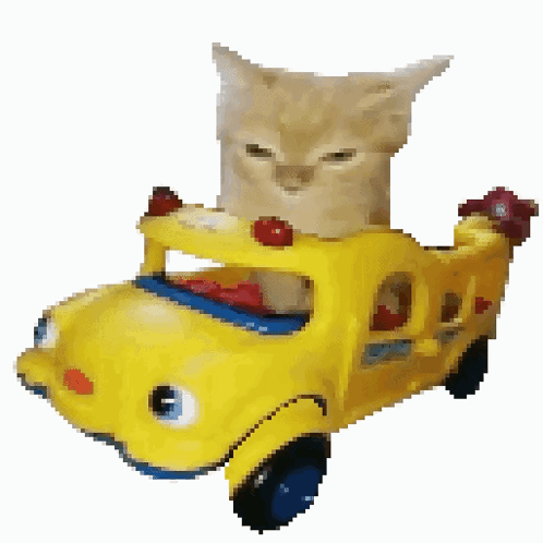 Cat Cat Bounce GIF