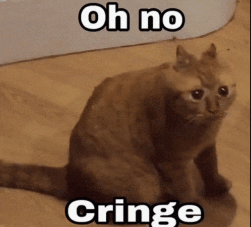 Cat Cat Meme GIF