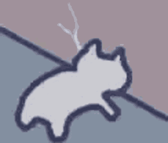 Cat Cat Meme GIF