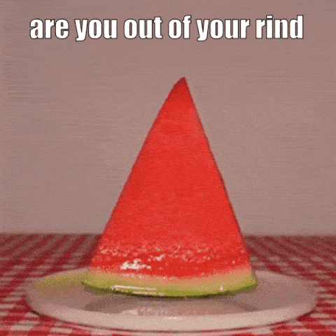 Cat Cat Meme GIF