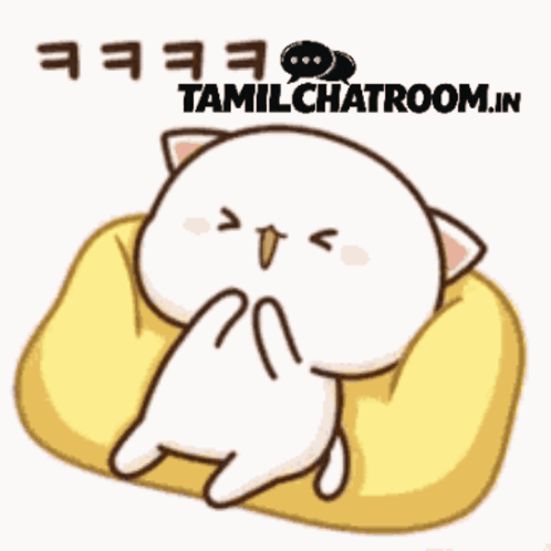 Cat Cat Meme GIF