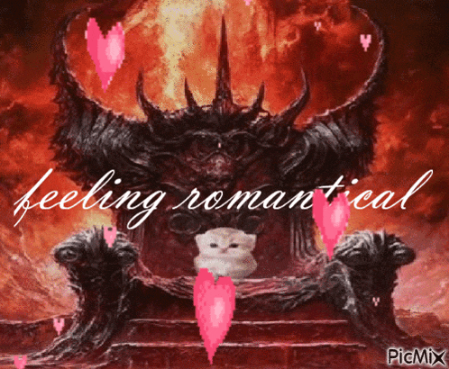 Cat Cat Meme GIF