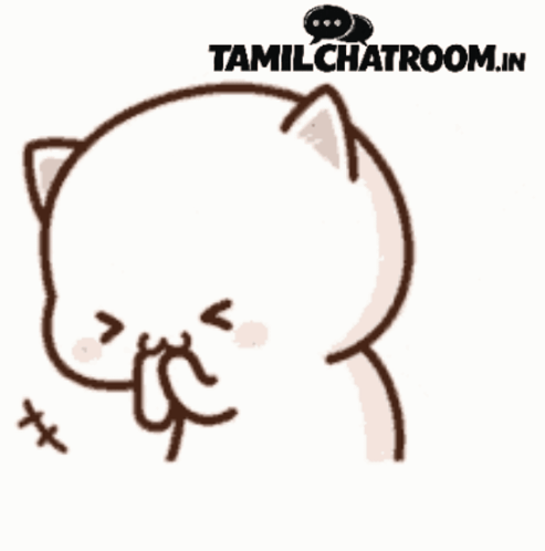 Cat Cat Meme GIF