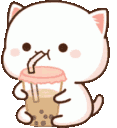 Cat Cat Meme Sticker