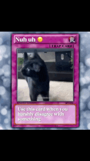Cat Cat Meme GIF