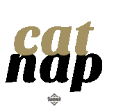 Cat Cat Nap Sticker