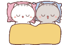 Cat Cats Sticker
