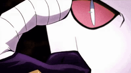 Cat Cats GIF