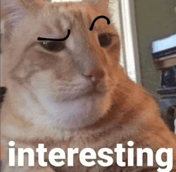 Cat Cats Meme