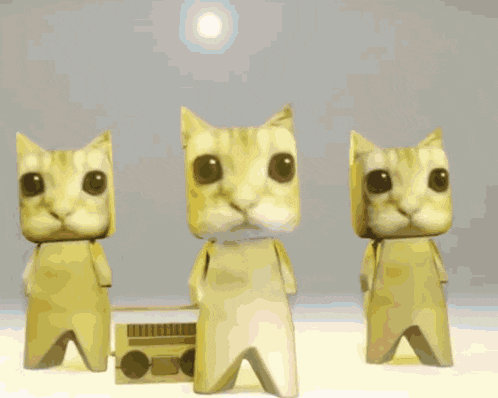 Cat Cats GIF