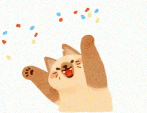Cat Celebrate GIF