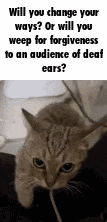 Cat Change Your Ways GIF