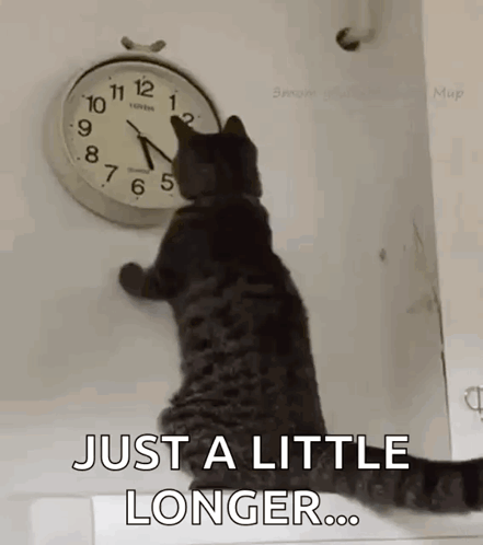 Cat Changing The Clock Changing The Time GIF