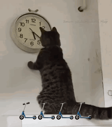 Cat Changing The Clock Changing The Time GIF. This 441 x 498 animated GIF is part of our countdown clock collection. Related themes include cat, cute…