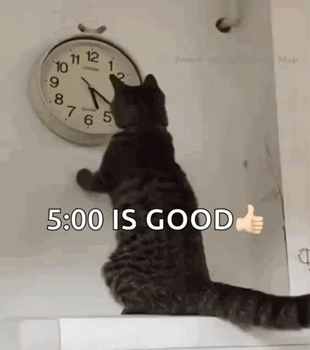 Cat Changing The Clock Changing The Time GIF. This 441 x 498 animated GIF is part of our looking at watch collection. Related themes include cat, cute…