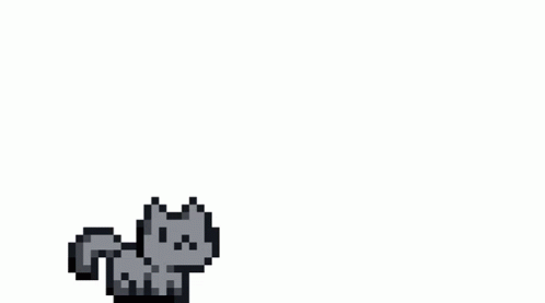 Cat GIF