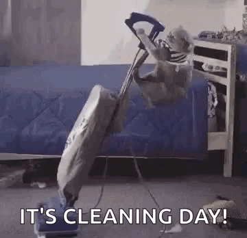 Cat Cleaning GIF