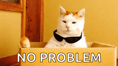 Cat Cool Cat GIF