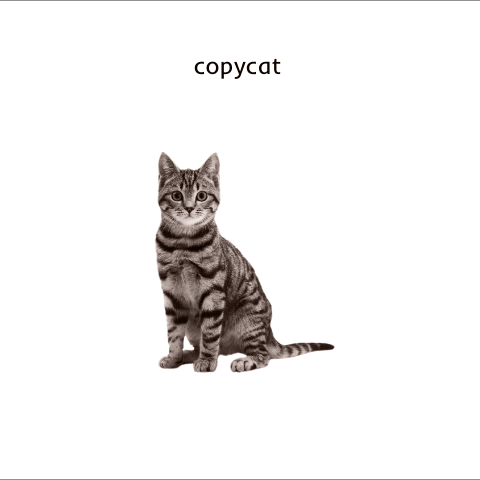 Cat Copycat GIF