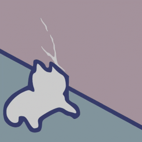 Cat Crazy GIF