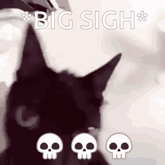 Cat Crazy GIF
