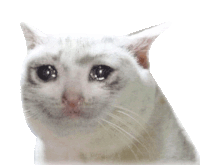 Cat Crying Sticker