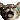 Cat Crying Sticker