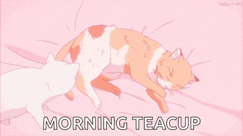 Cat Cuddle Cat GIF