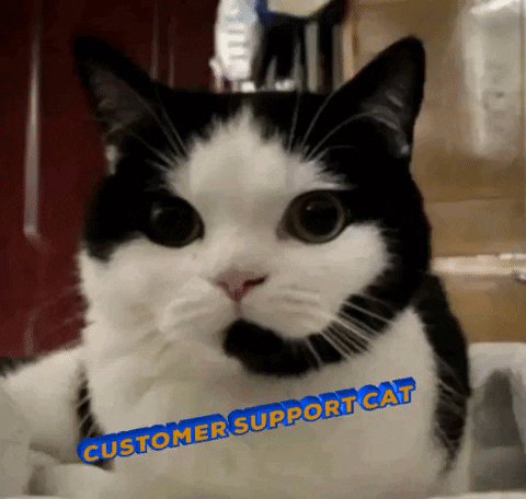 Cat Customer Service GIF