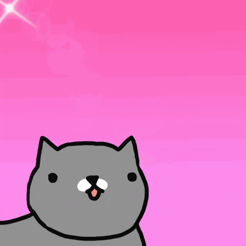 Cat Cute GIF