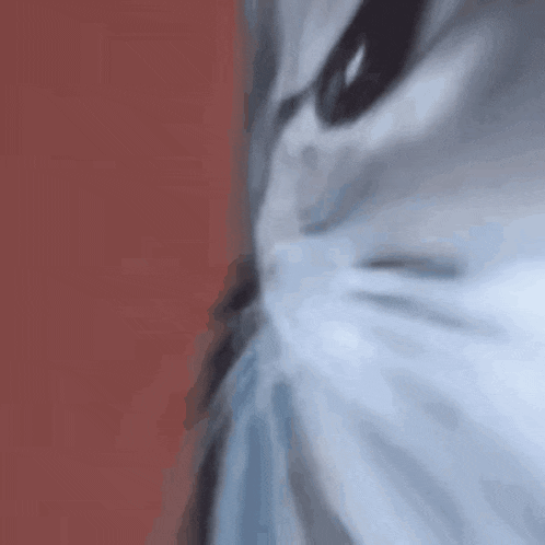 Cat Cute GIF
