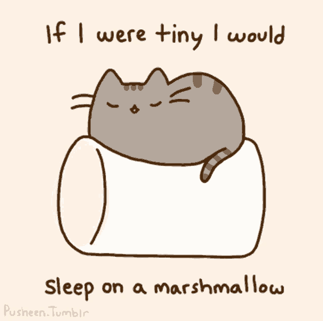 Cat Cute GIF