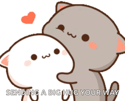 Cat Cute GIF