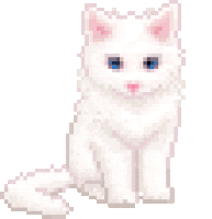 Cat Cute Sticker