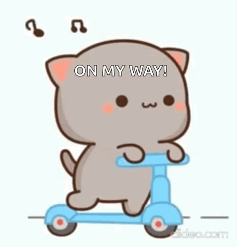 Cat Cute GIF