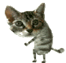 Cat Dancing Sticker