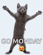 Cat Dancing To Tonight Tonight Hot Chelle Rae GIF