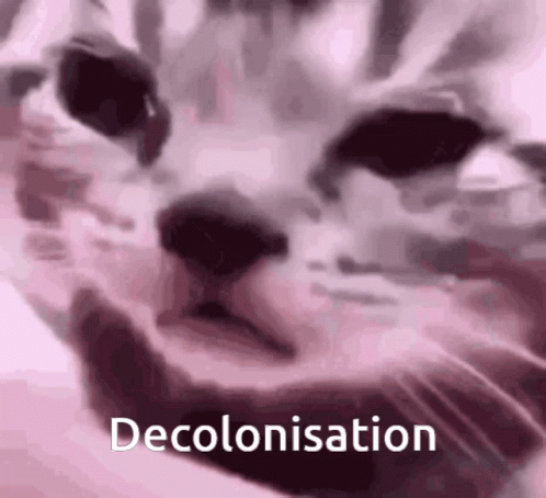 Cat Decolonisation GIF. This 498 x 454 animated GIF is part of our original nyan cat collection. Related themes include cat, crying, sad. Created by Cgwiz…