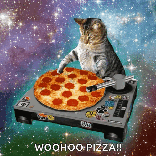 Cat Dj GIF