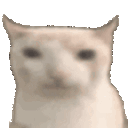 Cat Eat Sticker