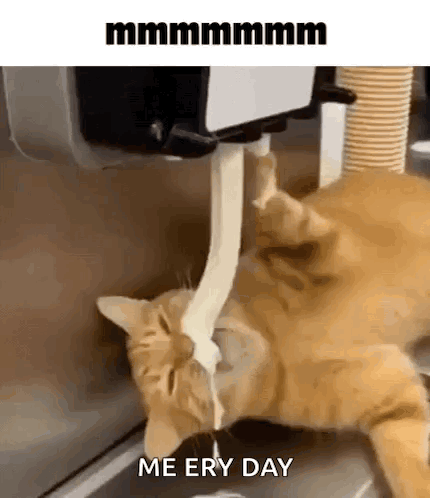 Cat Eating GIF. This 430 x 498 animated GIF is part of our eating collection. Related themes include cat, eat, mmm. Created by Catsonparade. View the…