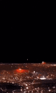 Cat Edit GIF