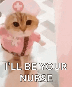 Cat GIF