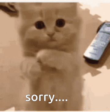 Cat GIF. This 360 x 368 animated GIF is part of our sorry collection. Related themes include cat. Created by Zihad_touhidul. View the original animation…