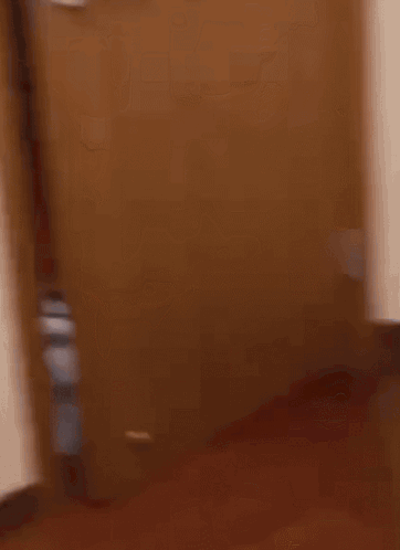 Cat Evil GIF