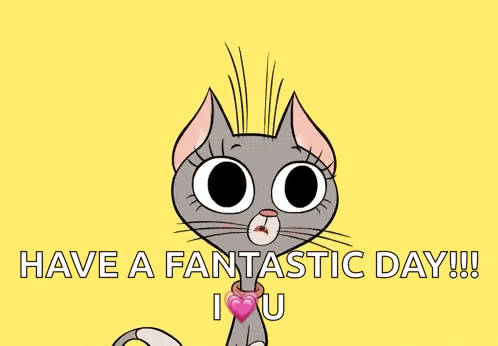 Cat Excited GIF