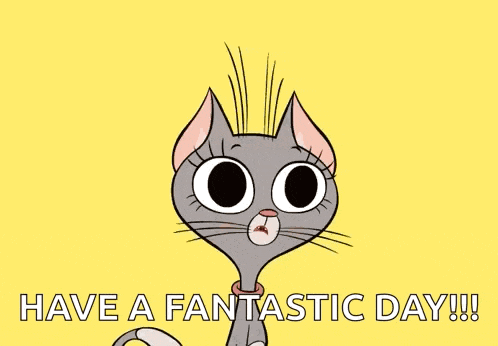 Cat Excited GIF